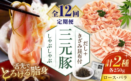 【全12回定期便】 三元豚 しゃぶしゃぶセット 計500g（ロース・バラ） だし・昆布付き 《喜茂別町》【平田牧場】 肉 豚肉 ロース バラ ロース肉 バラ肉 しゃぶしゃぶ 鍋 お鍋 冷凍配送 定期便 [AJAP017] 132000 132000円