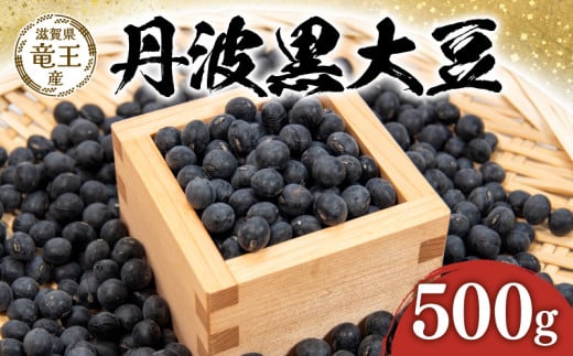 【 先行予約 】令和6年産 黒豆 予約 丹波黒 500g 豆 滋賀県 竜王町 国産 農家直送 丹波黒大豆  2024年産 国産 農家直送 産地直送 送料無料 1417603 - 滋賀県竜王町