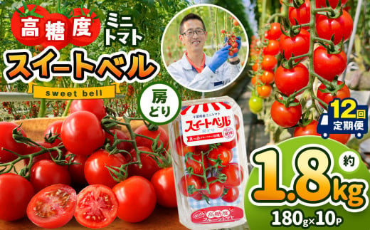 【定期便12回】 高糖度 ミニトマト スイートベル （ 房どり ） 180g × 10P | 野菜 トマト ミニトマト プチトマト トマト 高糖度 トマト とまと 小分け 君津とまとガーデン 定期便 定期 12回 千葉 君津 きみつ 1419082 - 千葉県君津市