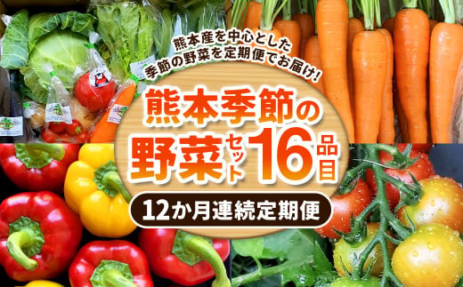 【12か月連続定期便】熊本季節の野菜セット 16品目