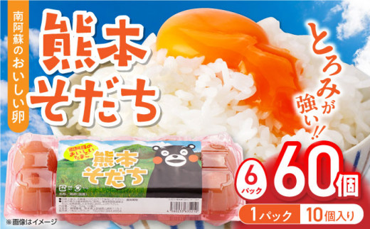 熊本そだち 60個入り ( 10個入り × 6パック ) 熊本県産 山都町 たまご