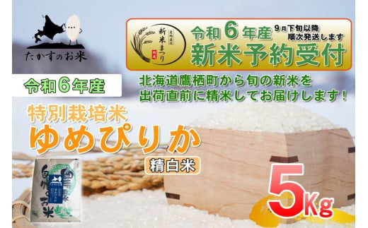 北海道鷹栖町のふるさと納税 A217 　【新米予約】令和６年産北海道米を代表する人気の品種「ゆめぴりか」（精白米・5kg）