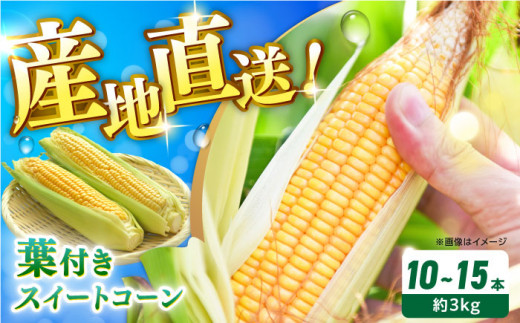 とうもろこし 葉付きスイートコーン とうもろこし ほしつぶコーン 熊本県産 夏野菜