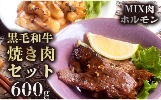 A5 黒毛和牛 焼肉用MIX ホルモン セット 600g 18,000円