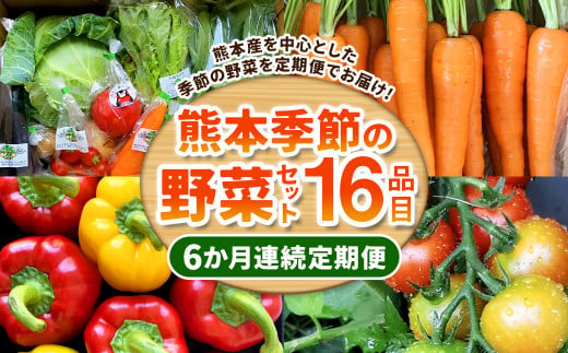 【6か月連続定期便】熊本季節の野菜セット 16品目