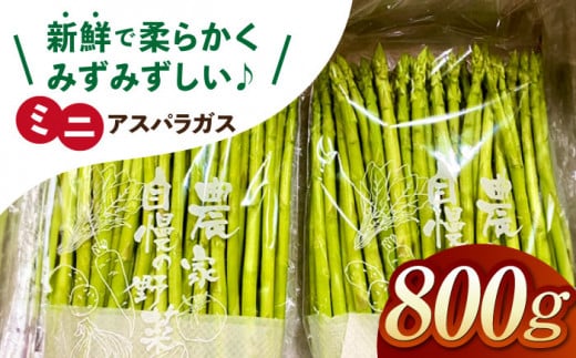 佐賀県江北町のふるさと納税 【お手軽調理】ミニアスパラガス 800g【けいちゃん農園】 [HCC011]