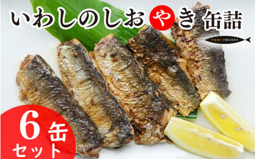 いわしのしおやき缶 6缶セット いわし イワシ 鰯 まいわし マイワシ 缶詰 魚介 国産 安心 贈答 ギフト 贈り物 夕飯 アレンジ おつまみ おかず 惣菜 美味しい 保存食 非常食 ローリングストック 長期保存 常温 青魚 健康 防災 備蓄 千葉県 銚子 千葉産直サービス