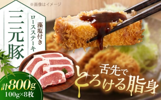 肉 豚肉 ロース ステーキ ステーキ用 と