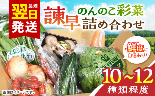 諫早のんのこ彩菜 詰め合わせ 10～12品目 季節 旬 野菜 やさい 春野菜 夏野菜 秋野菜