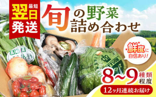 諫早産 野菜 詰め合わせ 8〜9品目程度 定期便 季節 旬 やさい 春野菜 夏野菜