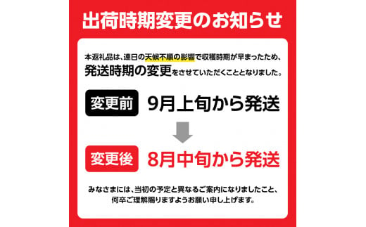 山形県大江町のふるさと納税 《先行予約》すもも「サンルージュ」約2kg 2～3L【2024年8月中旬頃～発送予定】【山形プラム・大江町産】 【001-079】