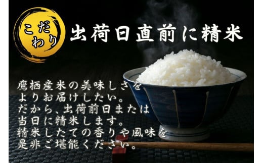 北海道鷹栖町のふるさと納税 A216 　【新米予約】令和６年産北海道米を代表する人気の品種「ゆめぴりか」食べきりサイズ（無洗米・2kg）