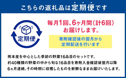 【6か月連続定期便】熊本季節の野菜セット 16品目