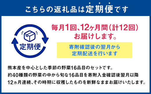 【12か月連続定期便】熊本季節の野菜セット 16品目