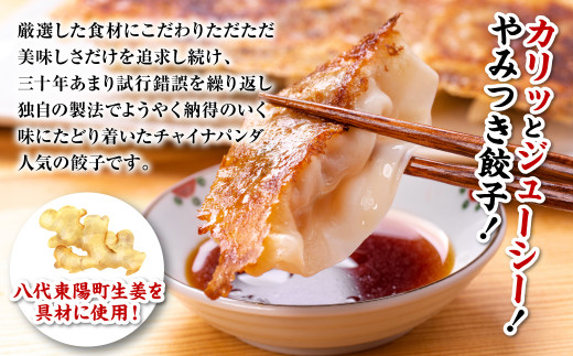 八代東陽町生姜を具材に使用したカリッとジューシー！やみつき餃子をお届けします！
