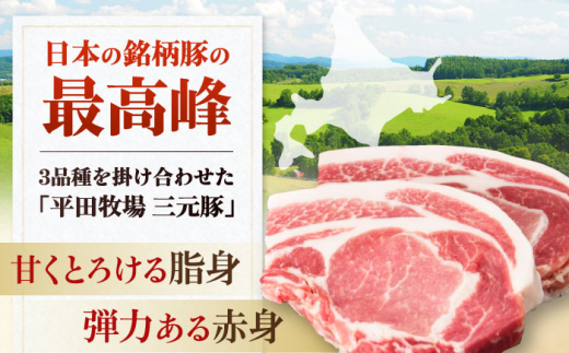  肉 豚肉 ブロック ステーキ ステーキ用 ロース ロースステーキ とんかつ