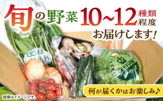 諫早のんのこ彩菜 詰め合わせ 10～12品目 季節 旬 野菜 やさい 春野菜 夏野菜 秋野菜