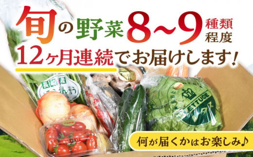 諫早産 野菜 詰め合わせ 8〜9品目程度 定期便 季節 旬 やさい 春野菜 夏野菜