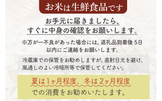 秋田県仙北市のふるさと納税 【白米】＜令和6年産 予約＞ 秋田県産 あきたこまち 20kg (5kg×4袋) 20キロ お米【選べるお届け時期】