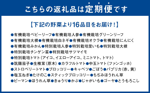 【12か月連続定期便】熊本季節の野菜セット 16品目