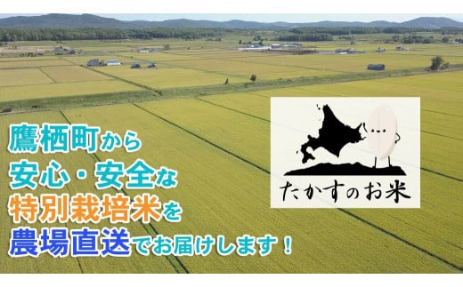 北海道鷹栖町のふるさと納税 A217 　【新米予約】令和６年産北海道米を代表する人気の品種「ゆめぴりか」（精白米・5kg）