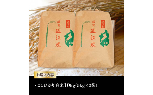 令和6年産 新米 白米 10㎏ こしひかり 5kg × 2袋 精米 近江米 コシヒカリ 国産 お米 米 おこめ ごはん ご飯 白飯 しろめし こめ  ゴハン 御飯 滋賀県産 竜王 ふるさと ランキング 人気 おすすめ - 滋賀県竜王町｜ふるさとチョイス - ふるさと納税サイト