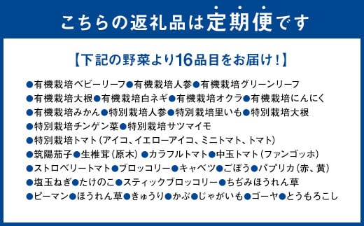 【6か月連続定期便】熊本季節の野菜セット 16品目