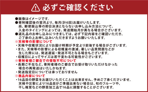 【6か月連続定期便】熊本季節の野菜セット 16品目