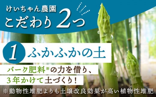 佐賀県江北町のふるさと納税 【お手軽調理】ミニアスパラガス 800g【けいちゃん農園】 [HCC011]