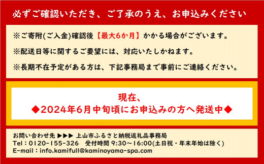 最大６か月待ち】かみのやまシュー ２０個 0048-2402 - 山形県上山市｜ふるさとチョイス - ふるさと納税サイト