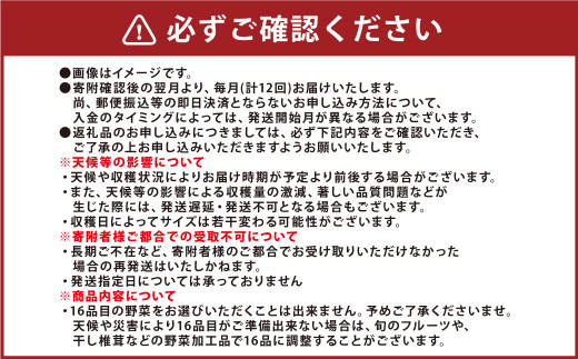 【12か月連続定期便】熊本季節の野菜セット 16品目