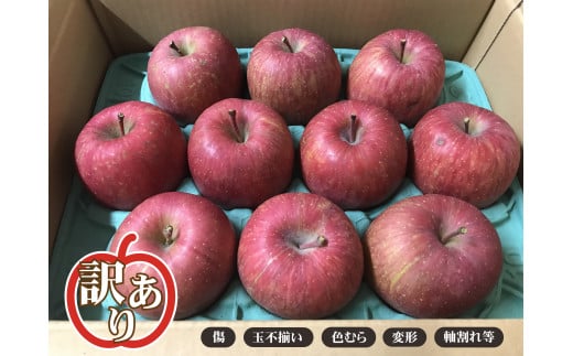 青森県田舎館村のふるさと納税 青森県産サンふじ家庭用3kg【訳あり】【23A1036】