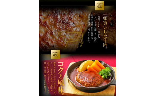 博多和牛 たっぷり ハンバーグ 140g×10個入り 計1.4kg ジャポネソース付き_KA0235