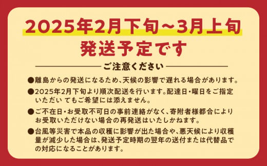 鹿児島県奄美市のふるさと納税 【先行予約】たんかん 5kg　A021-027