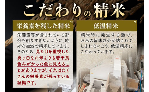 秋田県仙北市のふるさと納税 【無洗米】＜令和6年産 予約＞秋田県産 あきたこまち 30kg (5kg×6袋) 30キロ お米【選べるお届け時期】