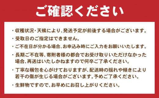 諫早産 野菜 詰め合わせ 8〜9品目程度 定期便 季節 旬 やさい 春野菜 夏野菜