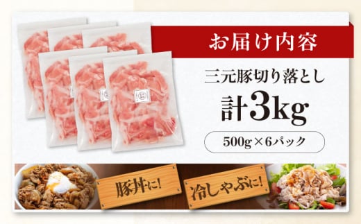  肉 豚肉 生姜焼き 小分け 冷凍 冷凍配送 30000 30000円 3万円