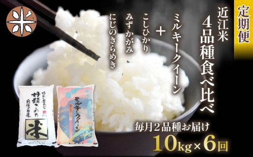 令和6年産 新米 定期便 10kg 全6回 ミルキークイーン  + 3品種 食べ比べ ( こしひかり みずかがみ にじのきらめき ) 全4品種 白米 各 5㎏ × 2袋 6ヶ月 近江米  国産 お米 米 おこめ ごはん ご飯 白飯 しろめし こめ ゴハン 御飯 滋賀県産 竜王 ふるさと ランキング 人気 おすすめ 1442087 - 滋賀県竜王町