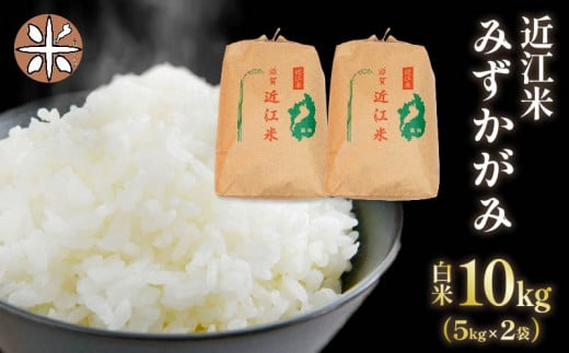 令和6年産 新米 白米 10㎏ みずかがみ 5kg × 2袋 精米 近江米 ミズカガミ 国産 お米 米 おこめ ごはん ご飯 白飯 しろめし こめ ゴハン 御飯 滋賀県産 竜王 ふるさと ランキング 人気 おすすめ 1001758 - 滋賀県竜王町