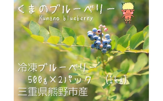 くまのブルーベリー(冷凍) 熊野精工 熊野 果物 フルーツ デザート おやつ スムージー  1419713 - 三重県熊野市