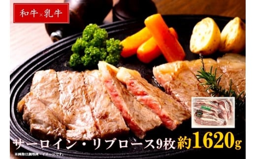 清麻呂 牛 ロース テキ肉 約1.62kg（約180g×9枚） 岡山市場発F1牛肉