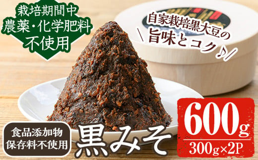 y457 《数量限定》黒味噌(黒米麹と黒大豆)計600g(300g×2パック) 味噌 黒味噌 黒大豆 大豆 田楽 和え物 黒米麹 麹 こうじ みそ汁 味噌汁 有機 有機農業 有機肥料 【雲月農園】 1413479 - 鹿児島県湧水町