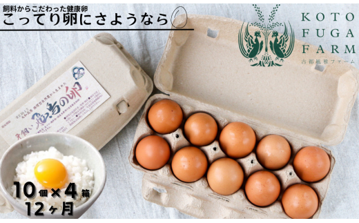 【ふるさと納税】飛鳥の卵（１０個×４箱）定期便１２ケ月 風雅ファーム 奈良市なら 180-001 1413189 - 奈良県奈良市