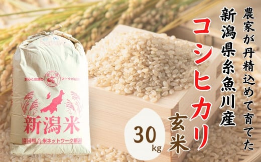 米 新潟県産 コシヒカリ 玄米 30kg 令和5年産 精米対応不可 1等米 木島米穀店[米 お米 玄米 米 こめ コメ こしひかり ご飯 ライス ブランド米 新潟県 糸魚川産 2023年産 食品 人気 おすすめ]