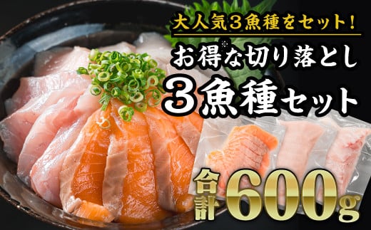 年内発送 12月末までにお届け【大人気３魚種のお得なセット※】サーモン・ブリ・タイ ３種 生食用 切り落とし 大満足 600gセット 小分け 国際規格SQF2000 さけ シャケ しゃけ sake ぶり buri 鰤 たい 鯛  tai カルパッチョ ソテー  人気 高級 大満足 美味しい 贈答 生食用 刺身 お刺身 刺し身 魚介類 海鮮 冷凍 厚切り 薄切り ふるさと納税   OB-30 1412212 - 三重県尾鷲市