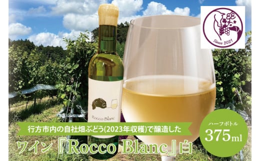 行方市内の自社畑ぶどう（2023年収穫）で醸造したワイン 『Rocco Blanc』白【ハーフ】(GQ-3) 1413300 - 茨城県行方市