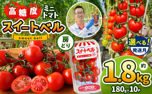 【1月発送】 高糖度 ミニトマト スイートベル （ 房どり ） 180g × 10P | 野菜 トマト ミニトマト プチトマト トマト 高糖度 トマト とまと 小分け 君津とまとガーデン 千葉 君津 きみつ 1338474 - 千葉県君津市