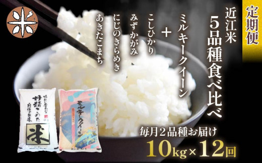 令和6年産 新米 定期便 10kg 全12回 ミルキークイーン  + 4品種 食べ比べ ( こしひかり みずかがみ にじのきらめき あきたこまち ) 全5品種 白米 各 5㎏ × 2袋 12ヶ月 近江米  国産 お米 米 おこめ ごはん ご飯 白飯 しろめし こめ ゴハン 御飯 滋賀県産 竜王 ふるさと ランキング 人気 おすすめ