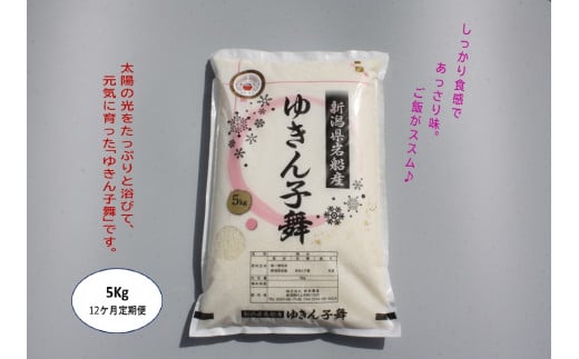 【令和6年産米】【12ヶ月定期便】ゆきん子舞 白米 5kg×12ヶ月  1039023 お米 米 精米 ご飯 ごはん 1413212 - 新潟県村上市