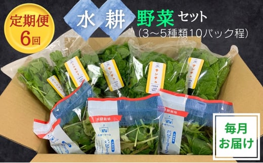 [№5359-0018]【定期便6回】毎月お届け 水耕野菜セット（3～5種類10パック程） 1627364 - 兵庫県播磨町